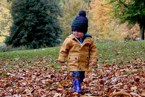 Little boy in a jacket, jeans, and hat walking on fallen leaves in the park.