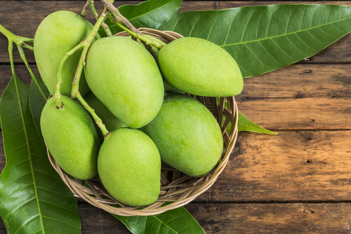 Raw mangoes placed in a fruit basket!