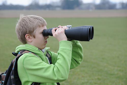 A boy looks through his binoculars while standing in the middle of a field.