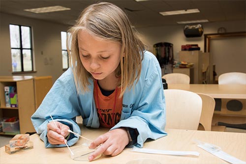  A girl conducts an experiment with a petri dish.