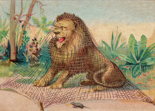 Picture of a lion roaring while being caught in a net and a mouse approaching the lion.