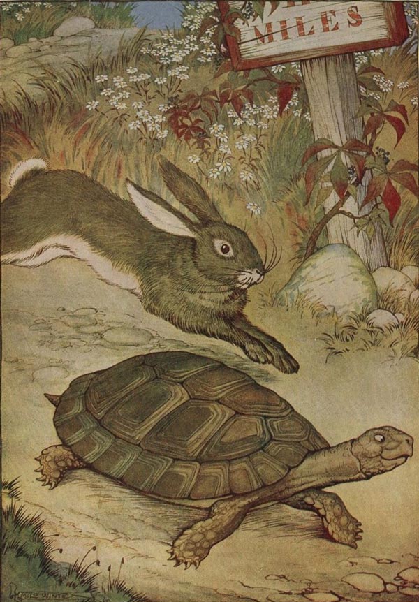 A tortoise and a hare racing