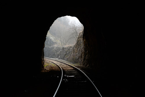 Inside a railway tunnel in the middle of a forest.