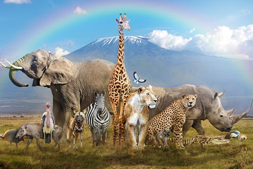 Cheetah, lion, giraffe, zebra, deer, elephant huddled together in a group against a field and sky background