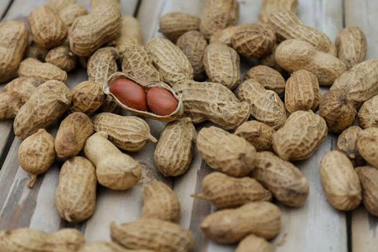 Unshelled peanuts with one partially shelled peanut lying in the middle
