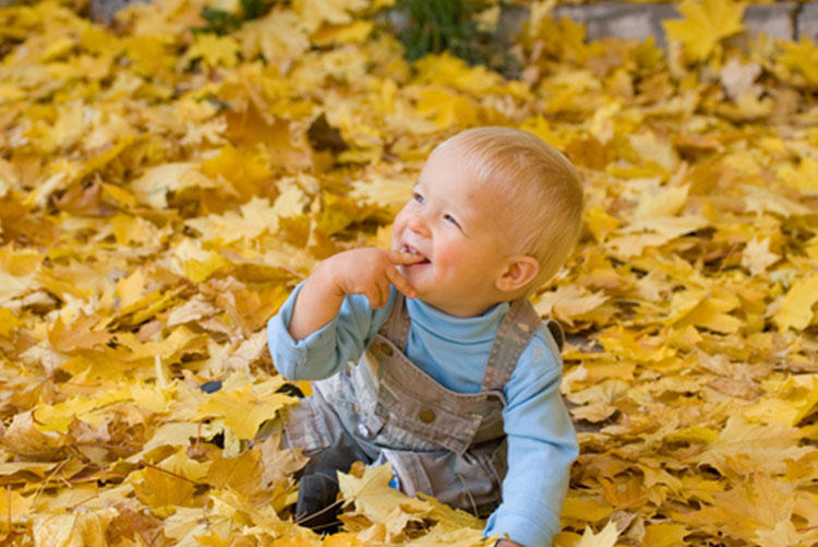 Boy in dungarees and t-shirt sitting in a pile of leaves