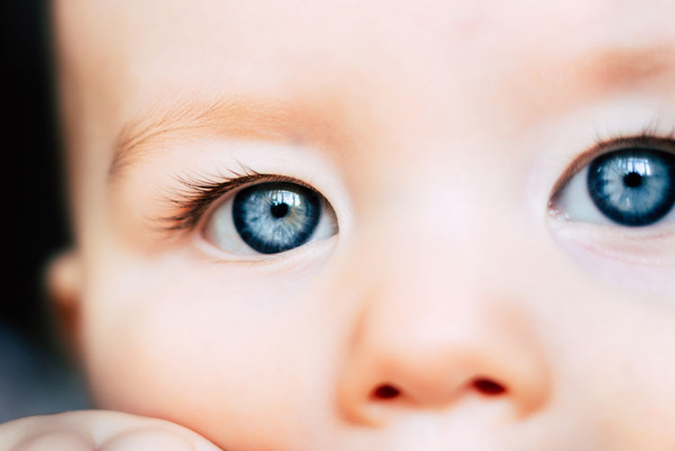 Baby with blue eyes staring