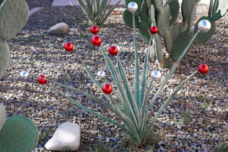 Agave plant decorated with baubles