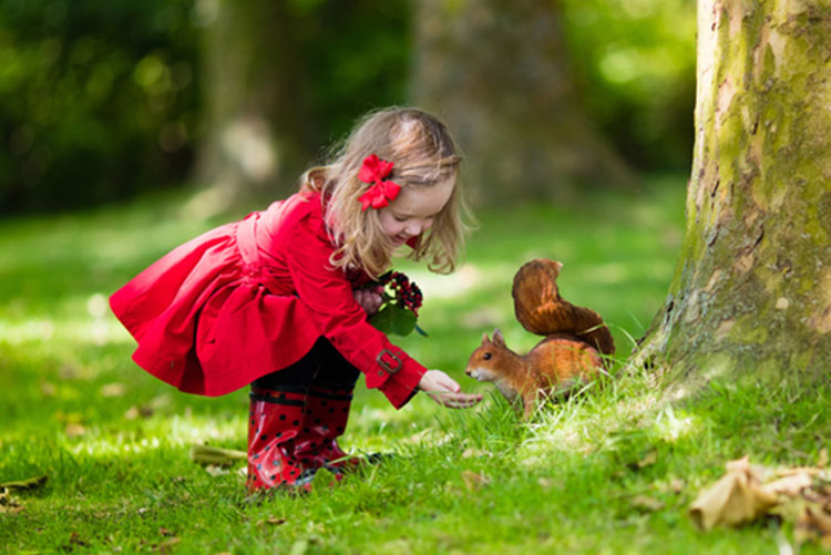 Little girl feeding a squirrel in the park