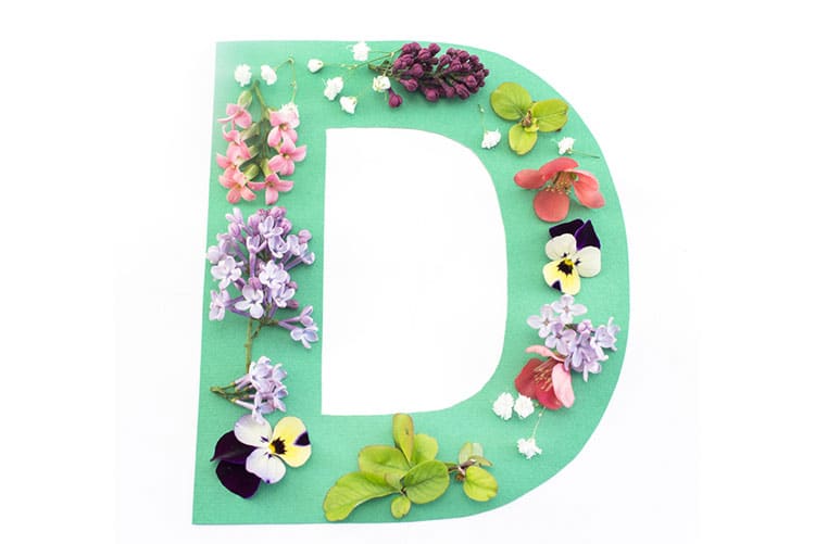 Cut out of the letter ‘D’ with flowers adorning the cutout