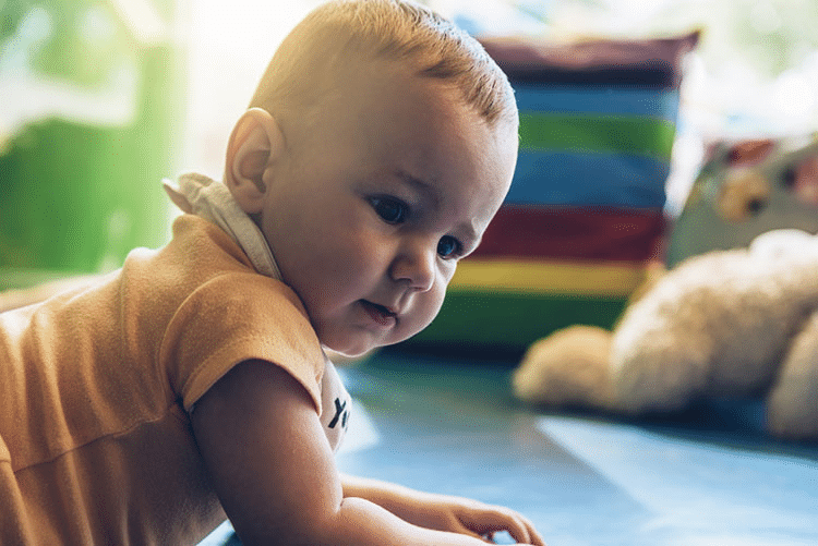 Toddler playing with his toys.