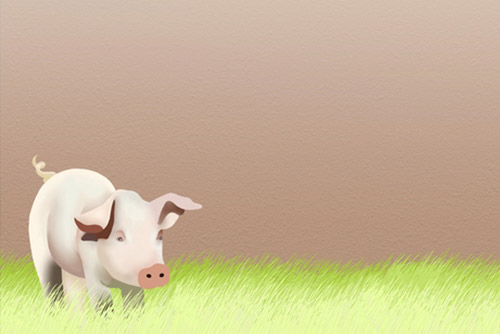 Piglet standing on a green grass field