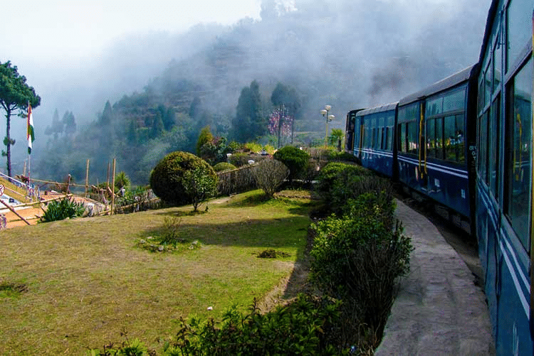 The famous Toy Train in Darjeeling!