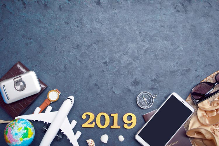 Wallet, Camera, watch, globe, model aeroplane, sunglasses, phone, and passport surrounding the number 2019 ﻿