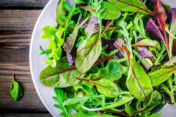 Healthy leafy greens placed on a plate.