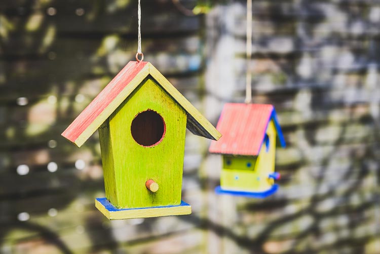 DIY birdhouses.