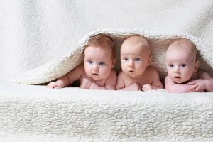 Three newborn babies peeping out the rug.