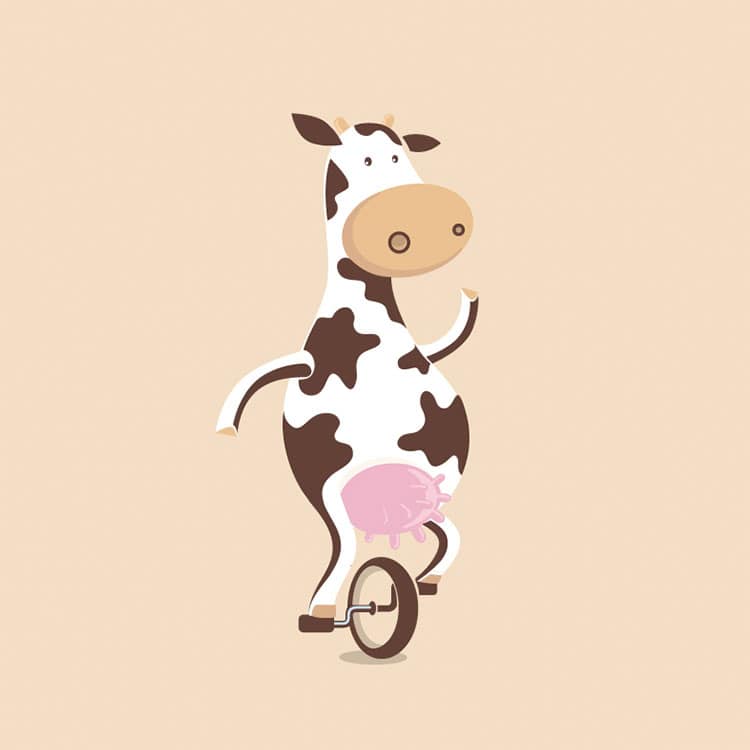 Vector image of a cow riding a unicycle