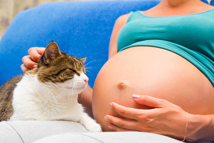 Pregnant woman chilling with her cat!