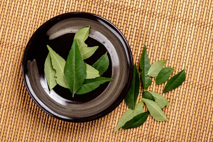 Fresh curry leaves placed on a ceramic plate.