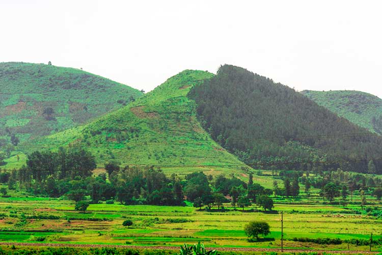 The picturesque landscape of Araku Valley in Uttarakhand.