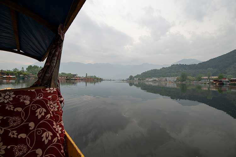 View of the Dal Lake from a Shikhara (a small boat).